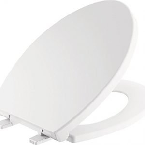 Delta Faucet Morgan Elongated Slow-Close White Toilet Seat with Non-Slip Seat Bumpers